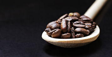 速溶抹茶奶茶粉推荐品牌全解析，品质与口感的完美结合