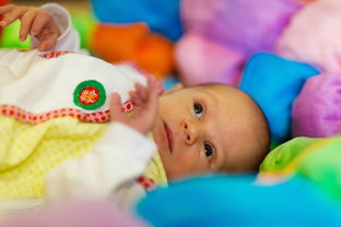 婴幼儿电子玩具品牌，创新、安全、乐趣的完美结合