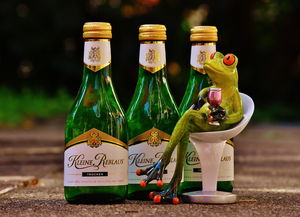 中餐厅必备的酒类品牌大盘点