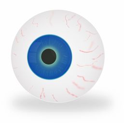 原相机品牌Logo深度解析，标识背后的故事与理念