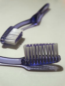 揭秘品牌宽头牙刷—成人口腔护理新选择