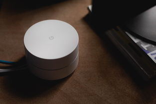 测量仪买什么品牌好用？实测几款热门品牌告诉你答案