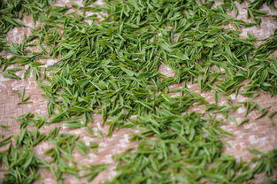 茶叶品牌的打造之路，从茶园到市场的全面解析