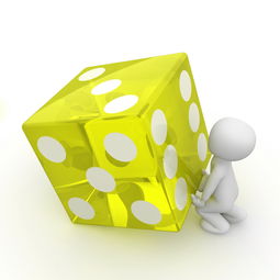 坚果品牌封装设计理念解析