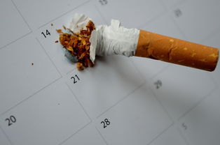毛巾牙刷家用推荐品牌大盘点，让你的生活更健康！
