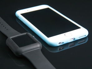 iPhone手机壳品牌排名