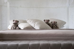 睡眠玩具品牌，打造舒适睡眠新体验