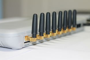 原装德国进口切割机——品质与技术的完美结合