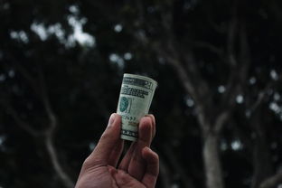 发胶喷雾大比拼，哪个品牌才是你的心头好？