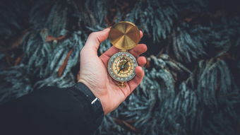 探索伯爵手链黄金的魅力