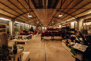 洪洞中餐自助餐品牌全览