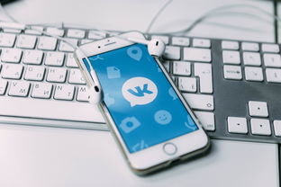 俄罗斯抽查手机品牌概览