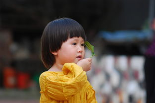 六年级孩子汉服品牌选择指南