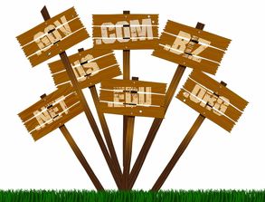 美国游戏机品牌商城全解析—位置、特色与购物指南