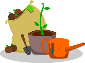 花片玩具品牌的故事，从创意到成功的旅程