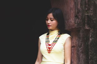 女士品牌汉服——传统与时尚的完美融合
