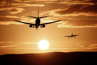 舞动梦想，共赴艺术之旅 —— 探索X舞蹈公司的魅力世界
