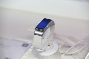 清洗奶嘴管工具品牌大解析