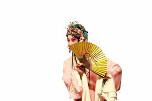 童装汉服品牌，传承文化，演绎童真时尚