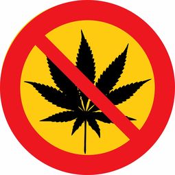 揭秘美国防火石膏板品牌，品质与安全的双重保障