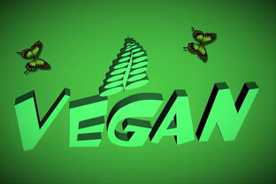 桐城定制网站如何玩转推广，全方位攻略大揭秘！
