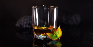 揭秘酒吧高档水杯品牌，品味与艺术的完美融合