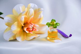品牌花瓣香水沐浴露，馥郁芬芳，沐浴新体验