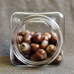零食坚果品牌推荐，品质之选，口感之享