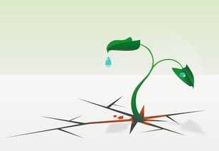 揭秘喷灌式水龙头品牌，绿色生活新选择！