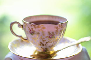 双层水杯品牌茶—时尚与健康的完美结合