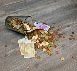 如何买到性价比高的食用油品牌
