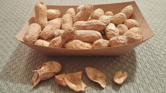 小食品界坚果品牌大比拼，热门坚果品牌排行榜及案例解析