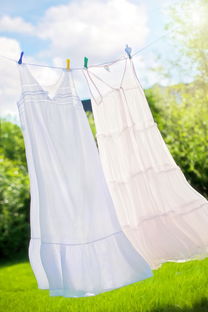 进口油漆品牌衣服，品质、时尚与选择的完美结合