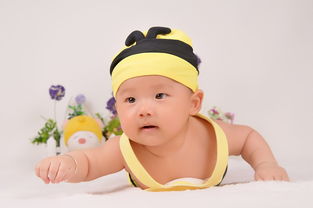 超软奶嘴十大品牌排行榜，宝妈选对不踩坑！