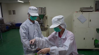 探索高效与定制化的工厂除尘解决方案