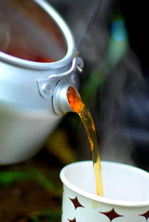 车内水杯品牌大盘点，实用与美观并存，你的爱车怎能缺少它？