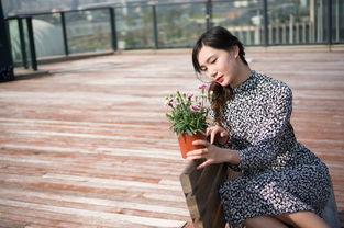 探索中年女性的魅力，精选旗袍品牌与穿搭指南