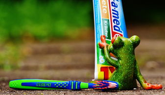 揭秘品牌刷牙刷子—你的口腔健康好帮手！