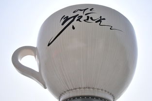 揭秘充气水杯品牌，如何成为户外运动新宠？