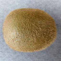 十大品牌不粘锅铲子排名，你了解几个？