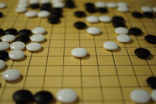 韩国大木铲子品牌大盘点，热门排名与解析