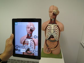 激光3D测量仪品牌深度解析，技术、应用与案例探讨