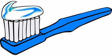 揭秘白鸽专用牙刷品牌—守护口腔健康的贴心之选