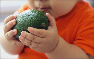 婴幼儿辅食奶嘴推荐品牌全解析