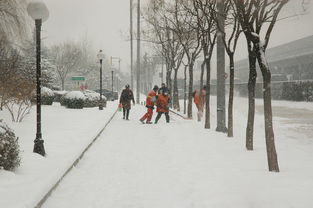 国产铲雪机器人品牌崛起，助力冬季除雪新篇章