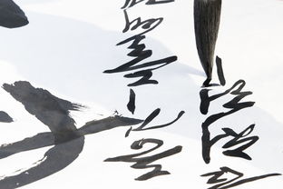 揭秘香港品牌书法家排名，谁是书法界的璀璨明珠？