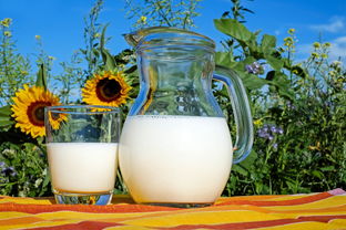 夏日炎炎，品牌户外凉水杯陪你清凉一夏