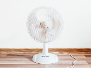 清洗阳台墙面工具品牌解析，实用工具与品牌推荐