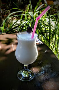 大品牌牛乳沐浴露深度测评，品质与效果的完美结合