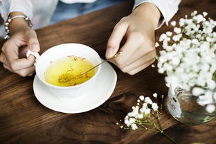 茶叶毛尖推荐品牌大盘点，好茶原来可以这样选！